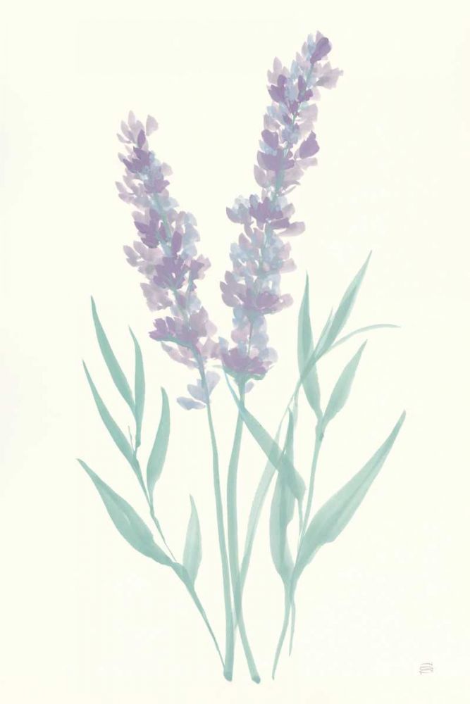 Lavender I art print by Chris Paschke for $57.95 CAD