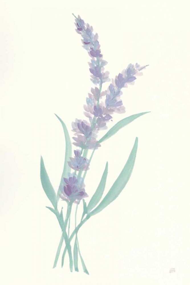 Lavender II art print by Chris Paschke for $57.95 CAD