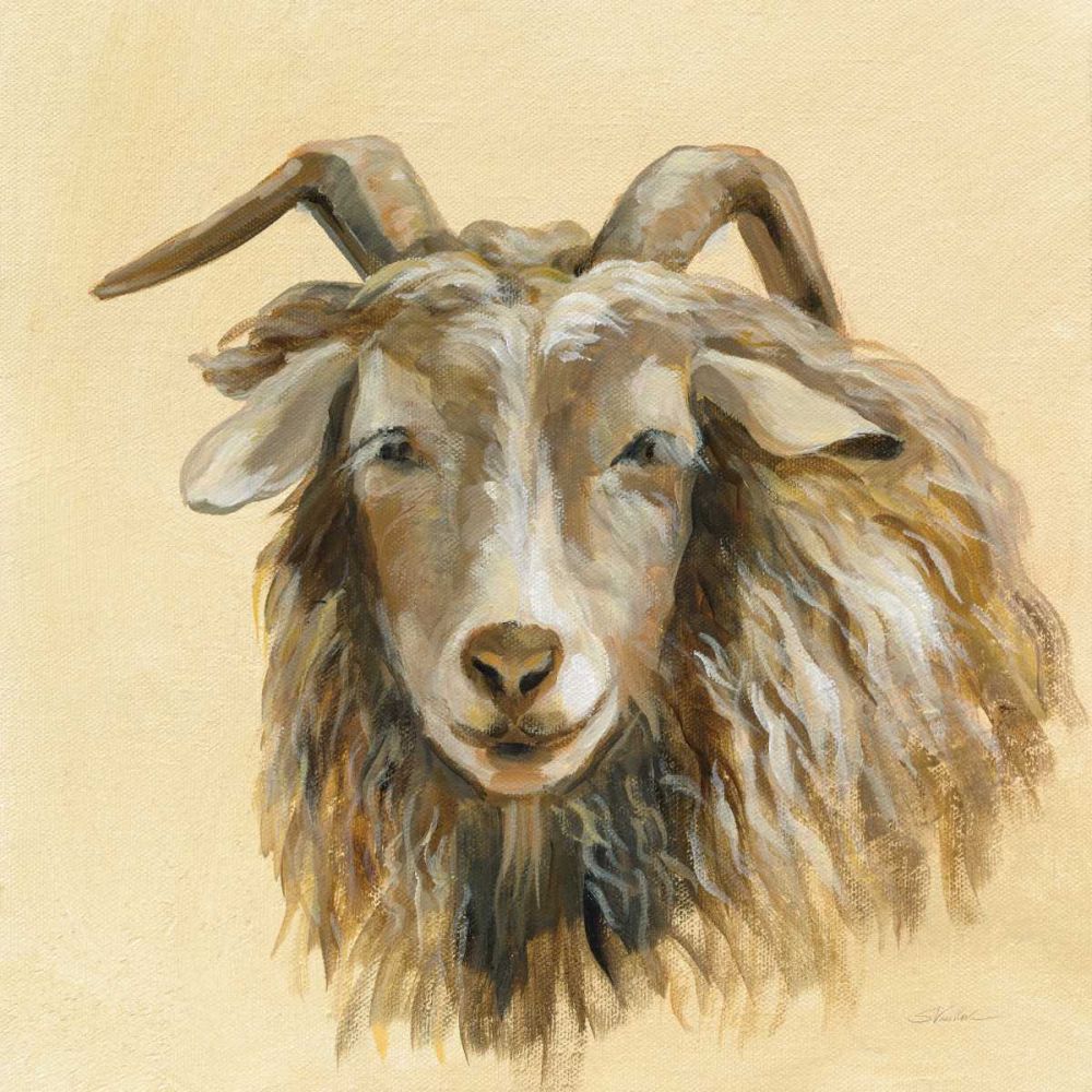 Highland Animal Sheep art print by Silvia Vassileva for $57.95 CAD