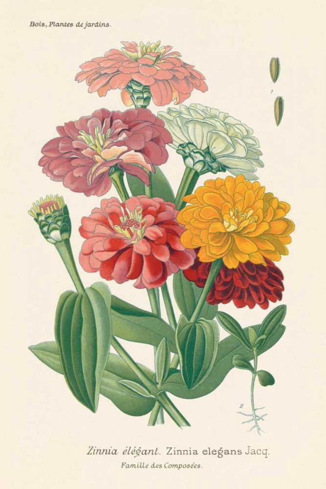 Antique Botanical XLI Light art print by Wild Apple Portfolio for $57.95 CAD