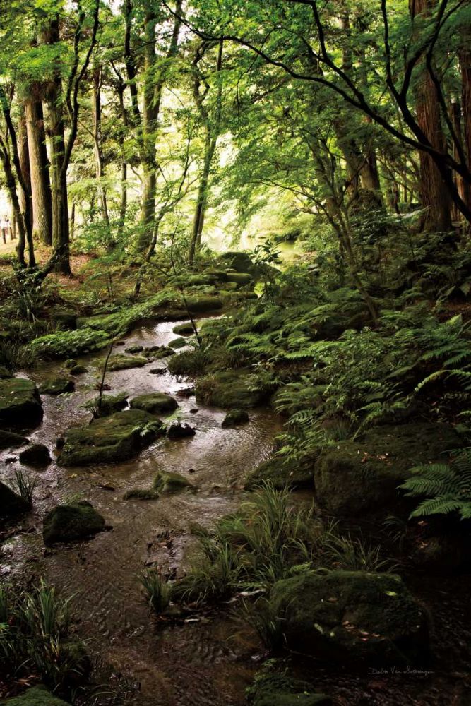 Lush Creek in Forest art print by Debra Van Swearingen for $57.95 CAD