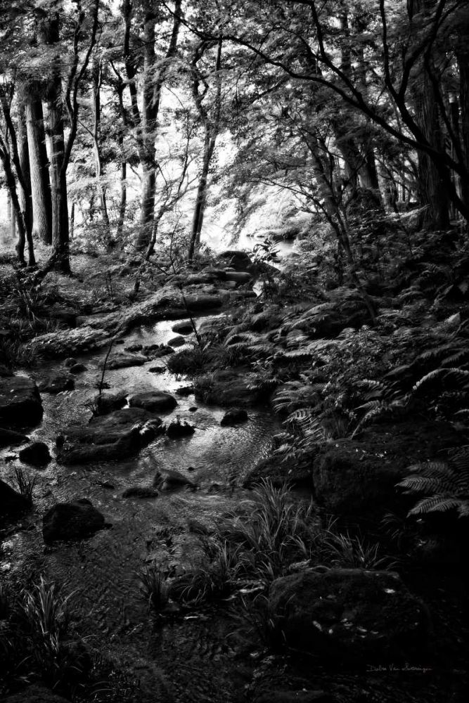 Lush Creek in Forest BW art print by Debra Van Swearingen for $57.95 CAD