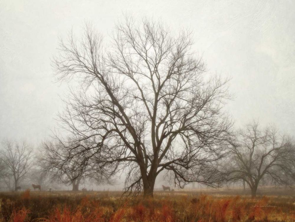 Morning Calm I art print by Debra Van Swearingen for $57.95 CAD