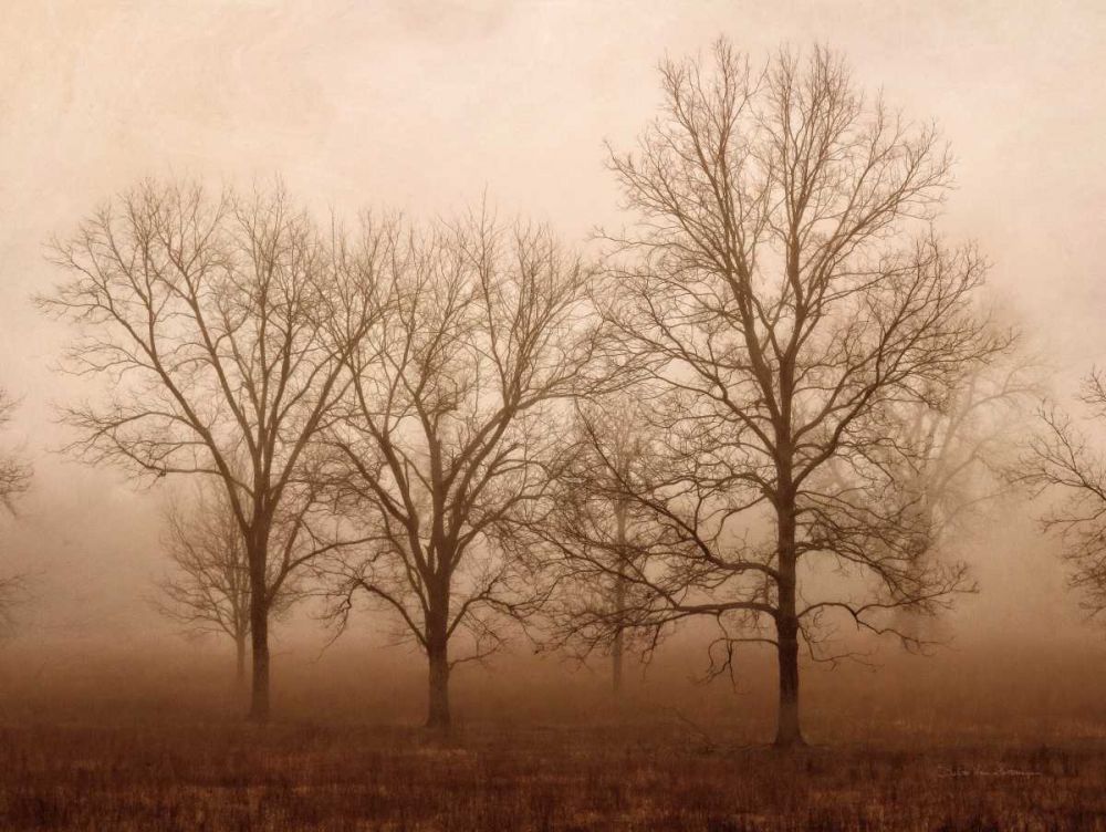 Morning Calm III art print by Debra Van Swearingen for $57.95 CAD
