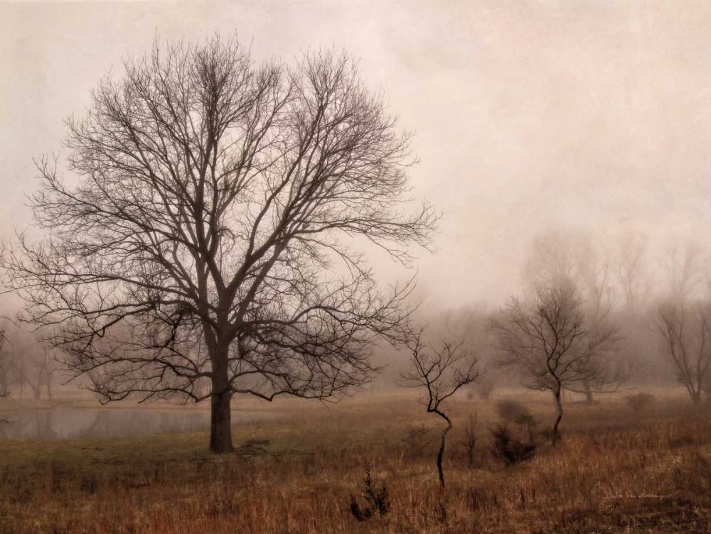 Morning Calm IV art print by Debra Van Swearingen for $57.95 CAD