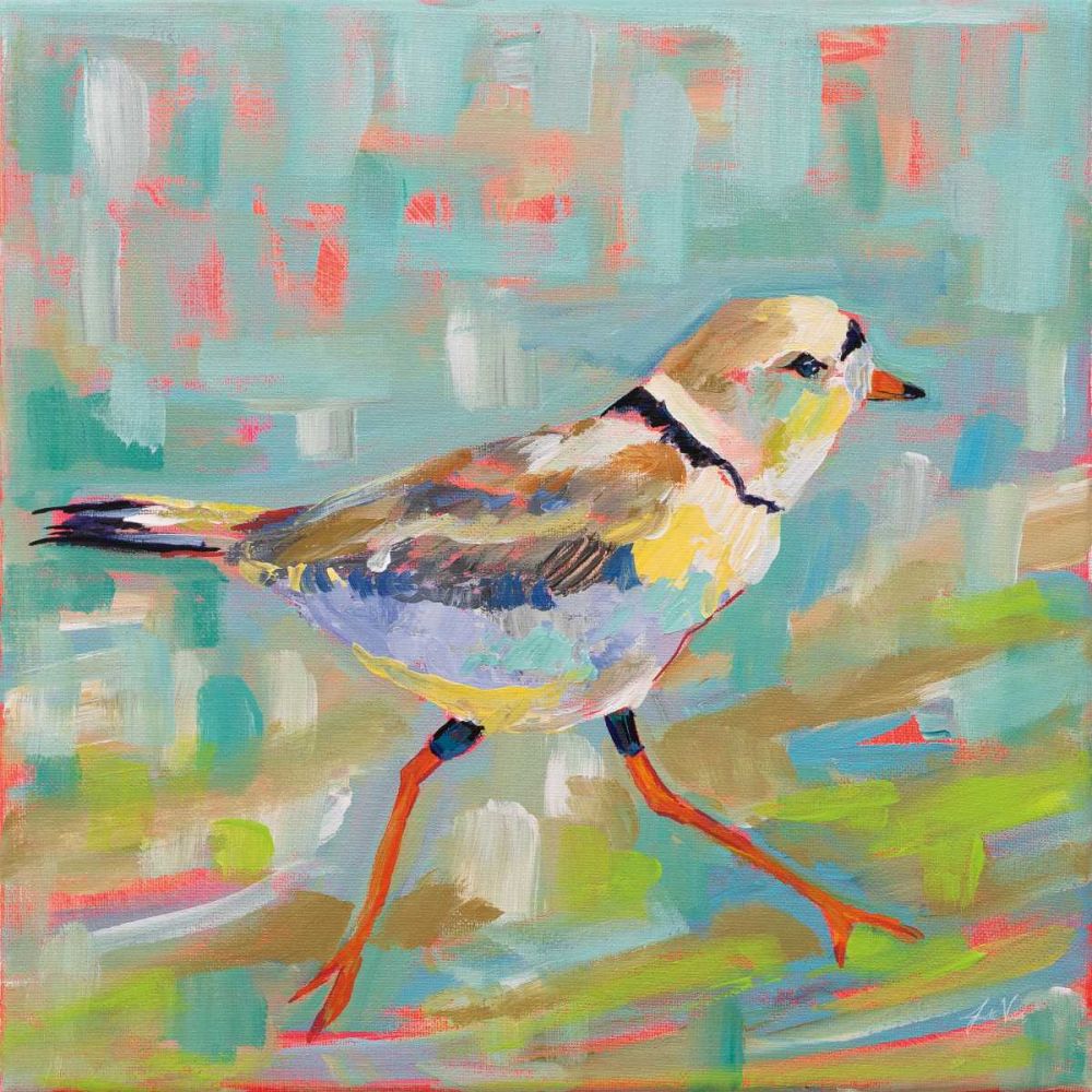 Coastal Plover I art print by Jeanette Vertentes for $57.95 CAD