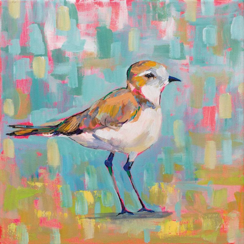 Coastal Plover III art print by Jeanette Vertentes for $57.95 CAD