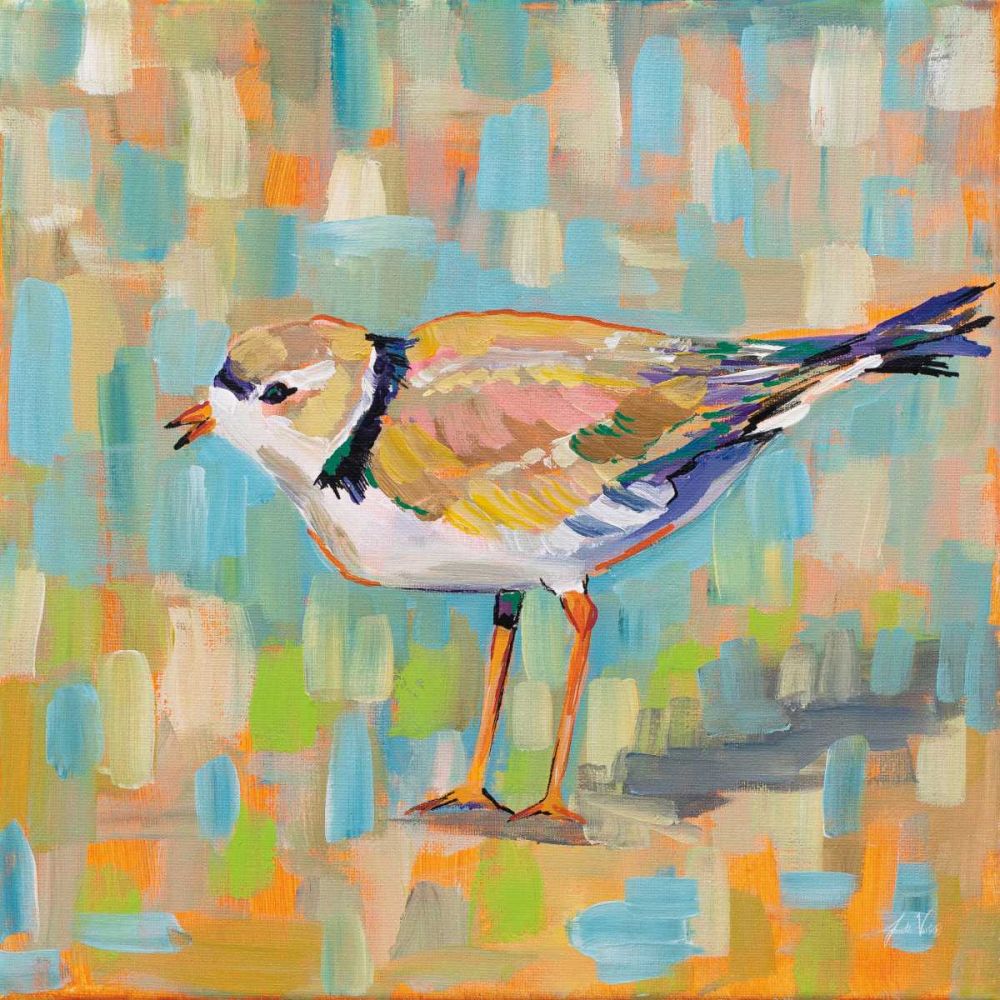 Coastal Plover IV art print by Jeanette Vertentes for $57.95 CAD