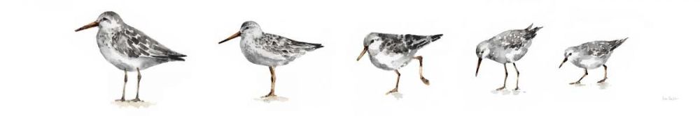 Pebbles and Sandpipers IX Gray No Words Border art print by Lisa Audit for $57.95 CAD