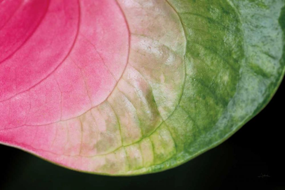 Pink and Green art print by Aledanda for $57.95 CAD