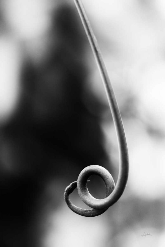 Curly Cue art print by Aledanda for $57.95 CAD