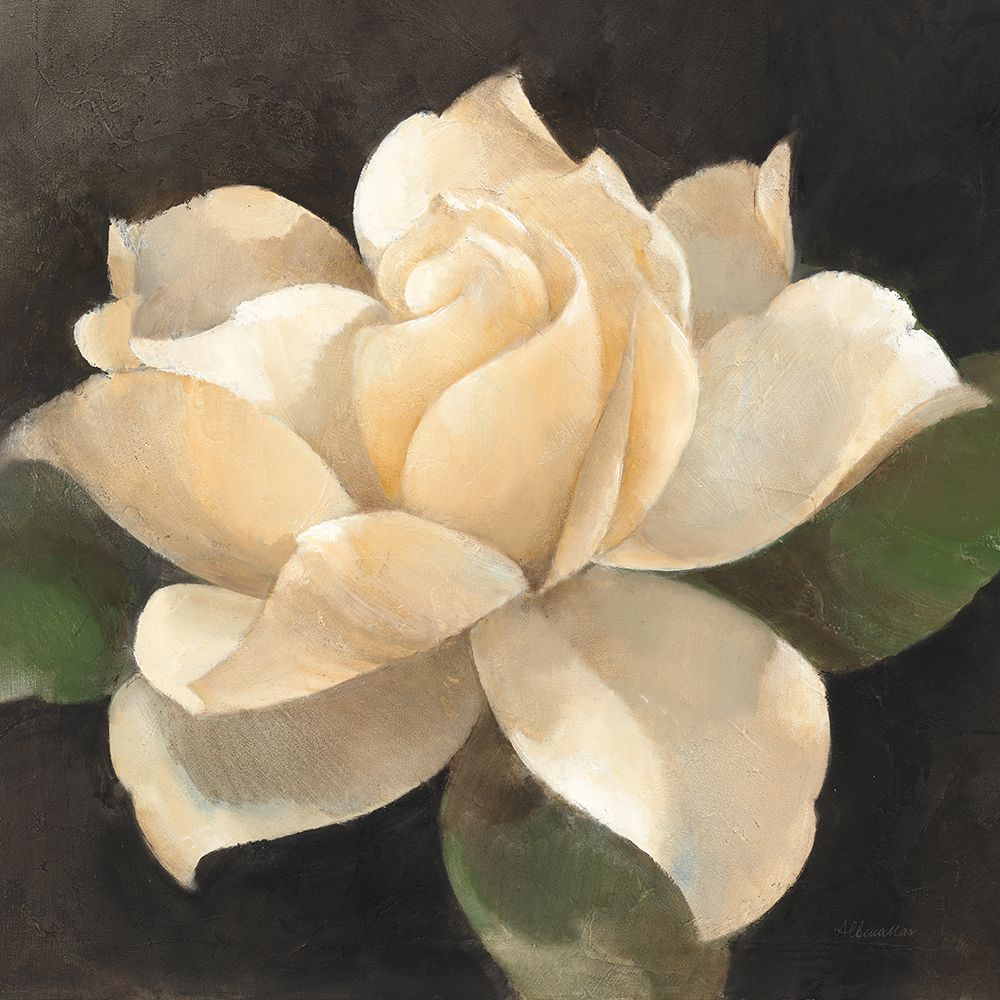 Gardenia Blossom art print by Albena Hristova for $57.95 CAD