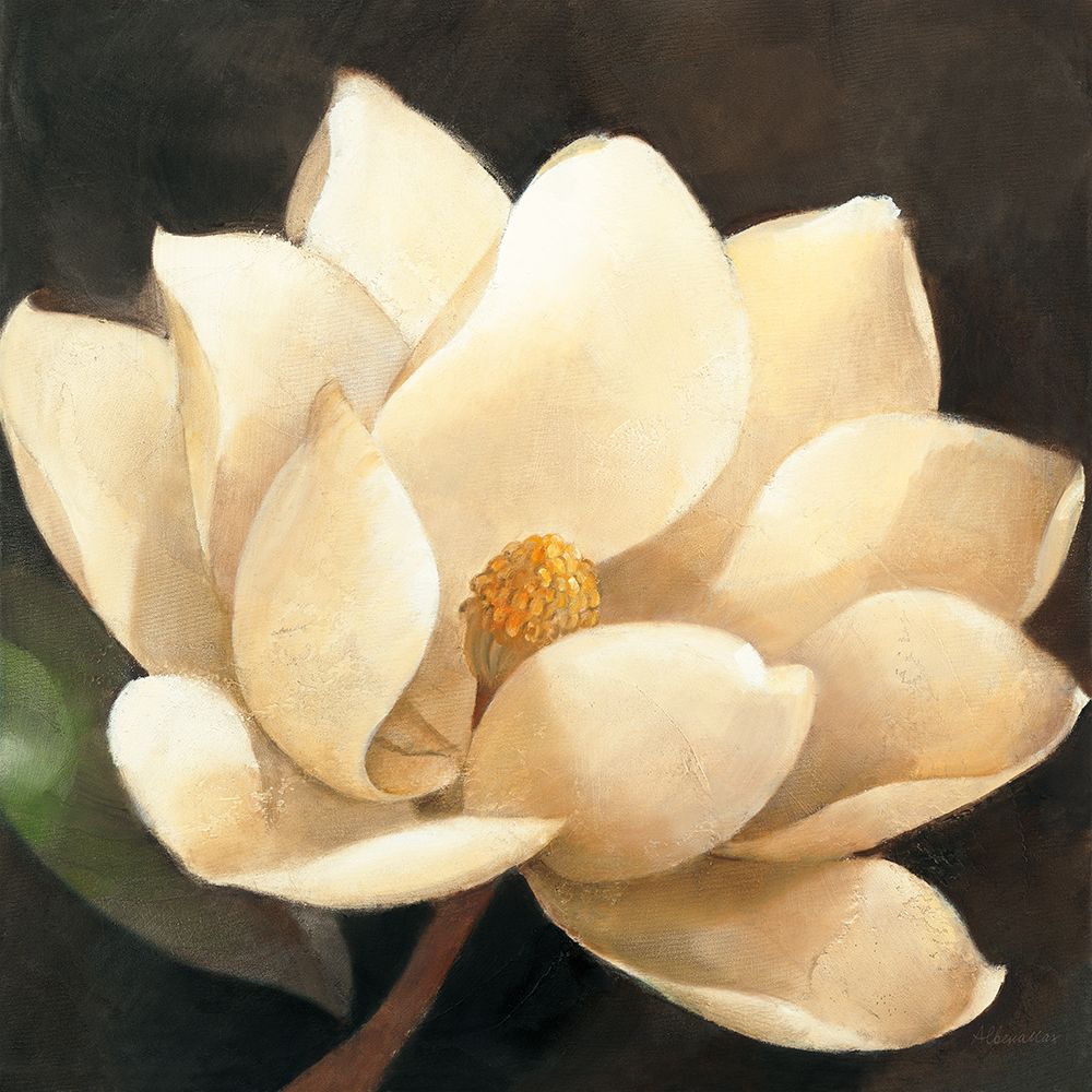 Magnolia Blossom art print by Albena Hristova for $57.95 CAD