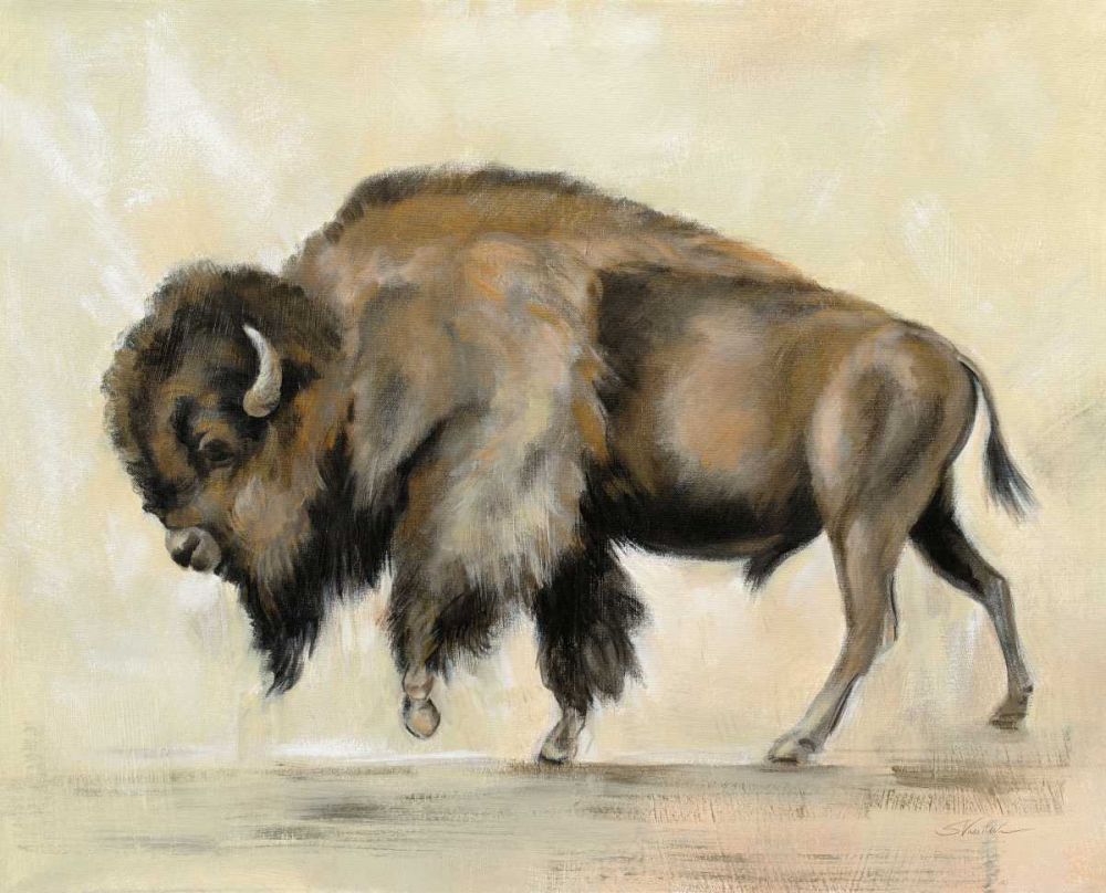 Bronze Buffalo art print by Silvia Vassileva for $57.95 CAD