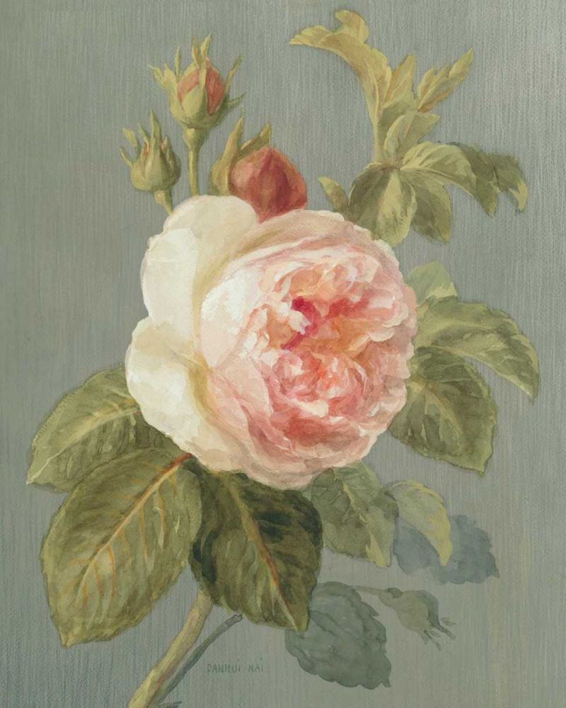 Heirloom Pink Rose art print by Danhui Nai for $57.95 CAD