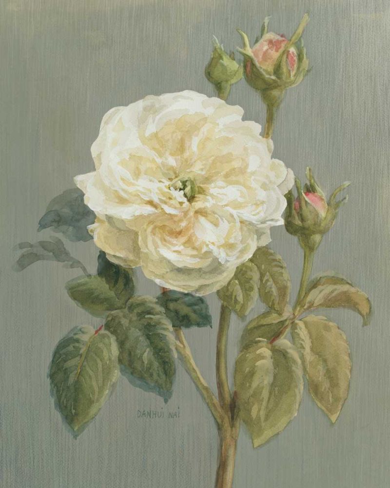Heirloom White Rose art print by Danhui Nai for $57.95 CAD