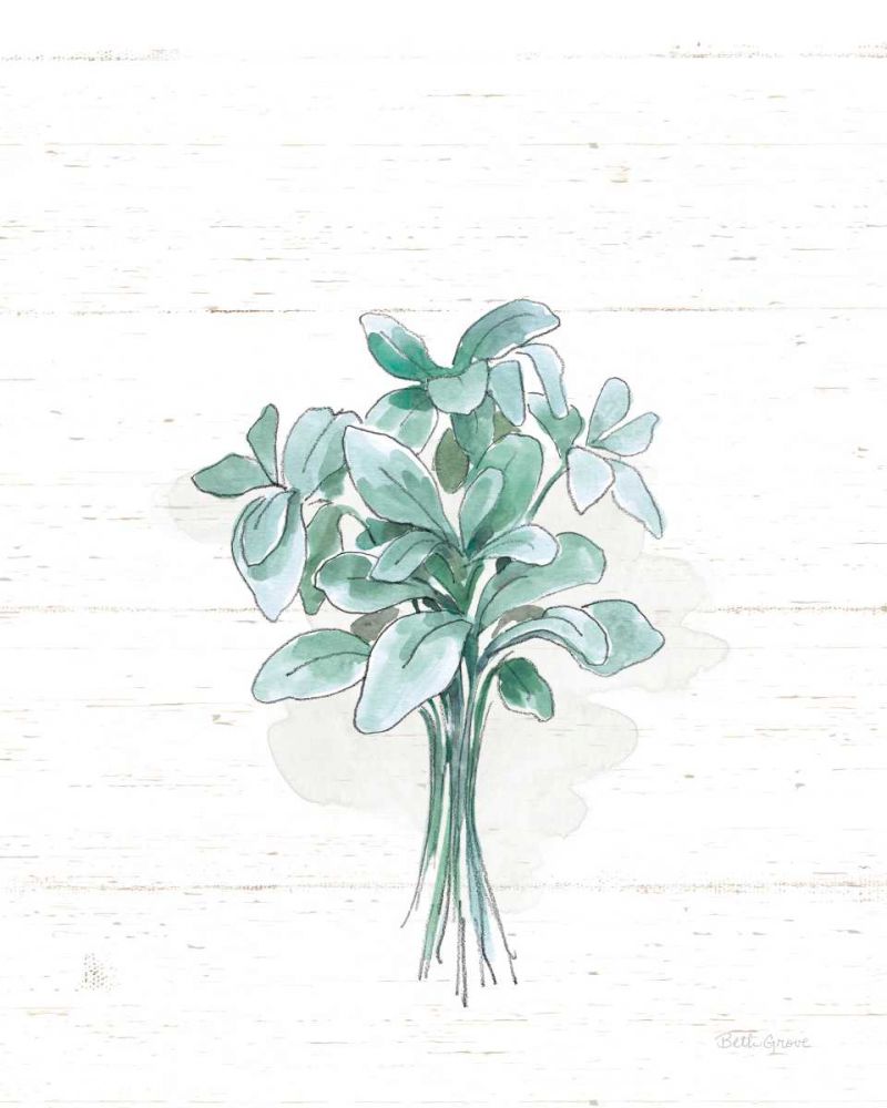 Farmhouse Cotton VI No Words art print by Beth Grove for $57.95 CAD