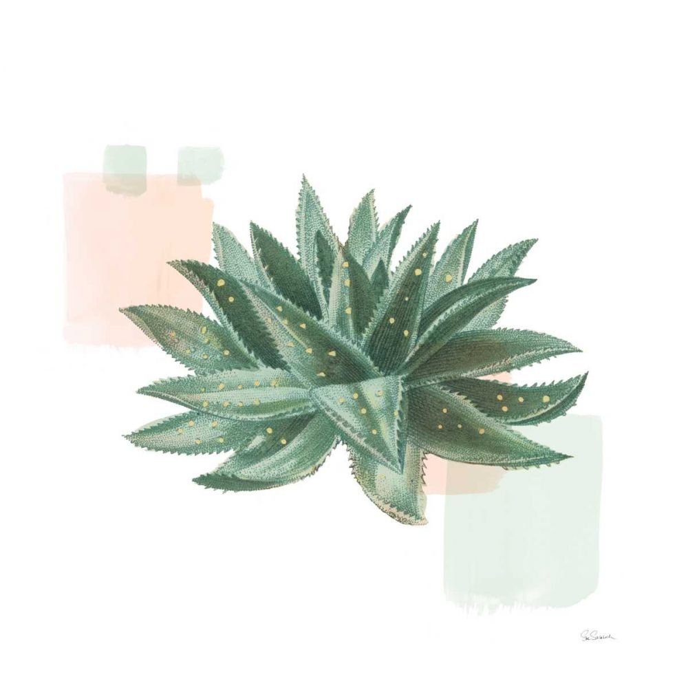 Desert Color Succulent II Mint art print by Sue Schlabach for $57.95 CAD