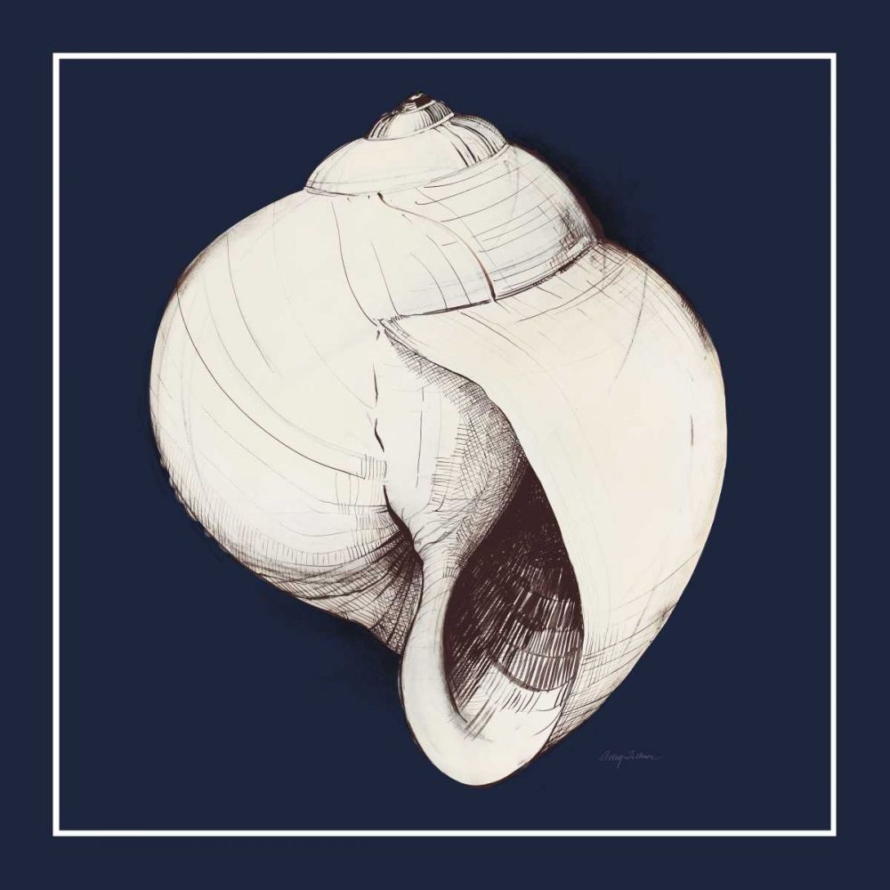 Coastal Shell I with Border Navy art print by Avery Tillmon for $57.95 CAD