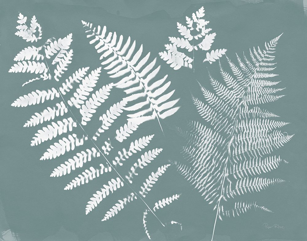 Nature by the Lake Ferns II Gray Mist Crop art print by Piper Rhue for $57.95 CAD