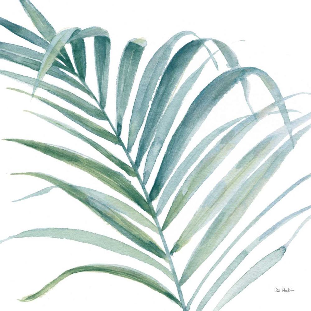 Tropical Blush V BG art print by Lisa Audit for $57.95 CAD