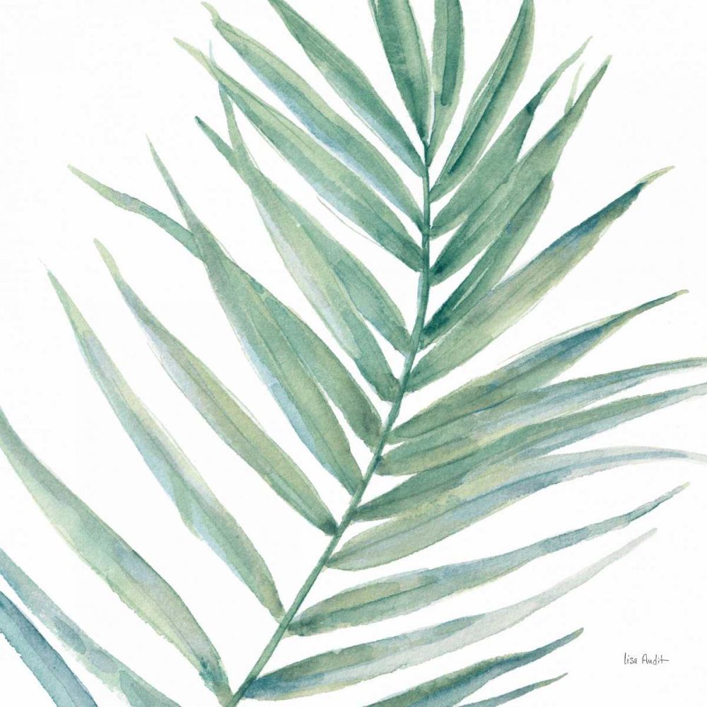 Tropical Blush IX BG art print by Lisa Audit for $57.95 CAD