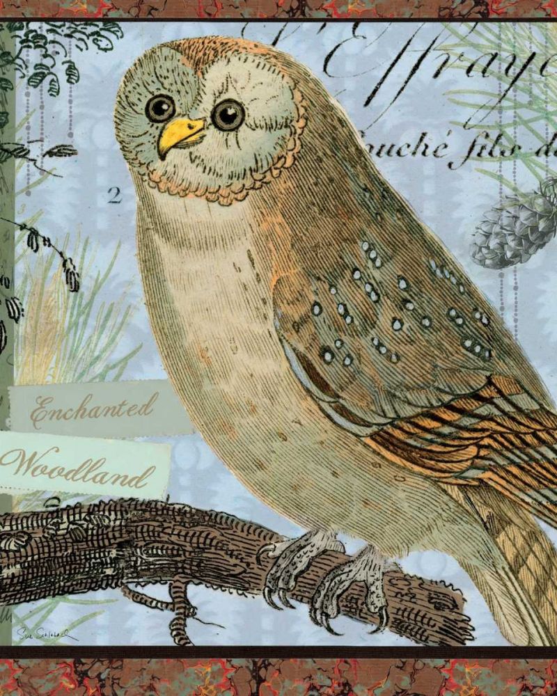 Enchanted Woodland art print by Sue Schlabach for $57.95 CAD