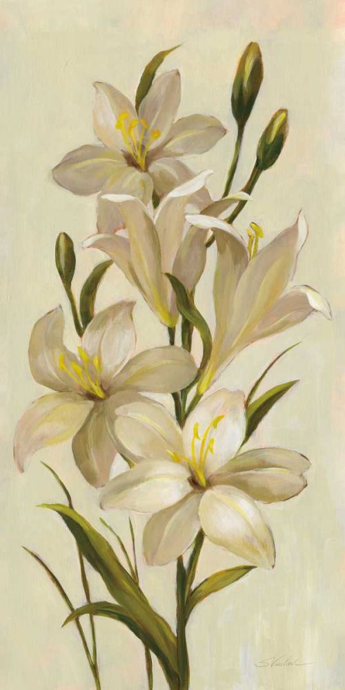 Elegant White Florals I art print by Silvia Vassileva for $57.95 CAD