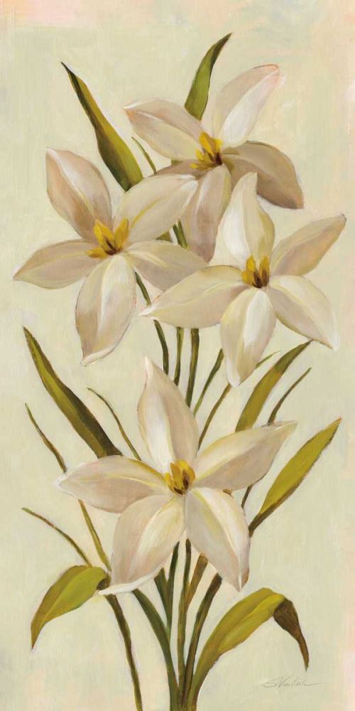Elegant White Florals II art print by Silvia Vassileva for $57.95 CAD