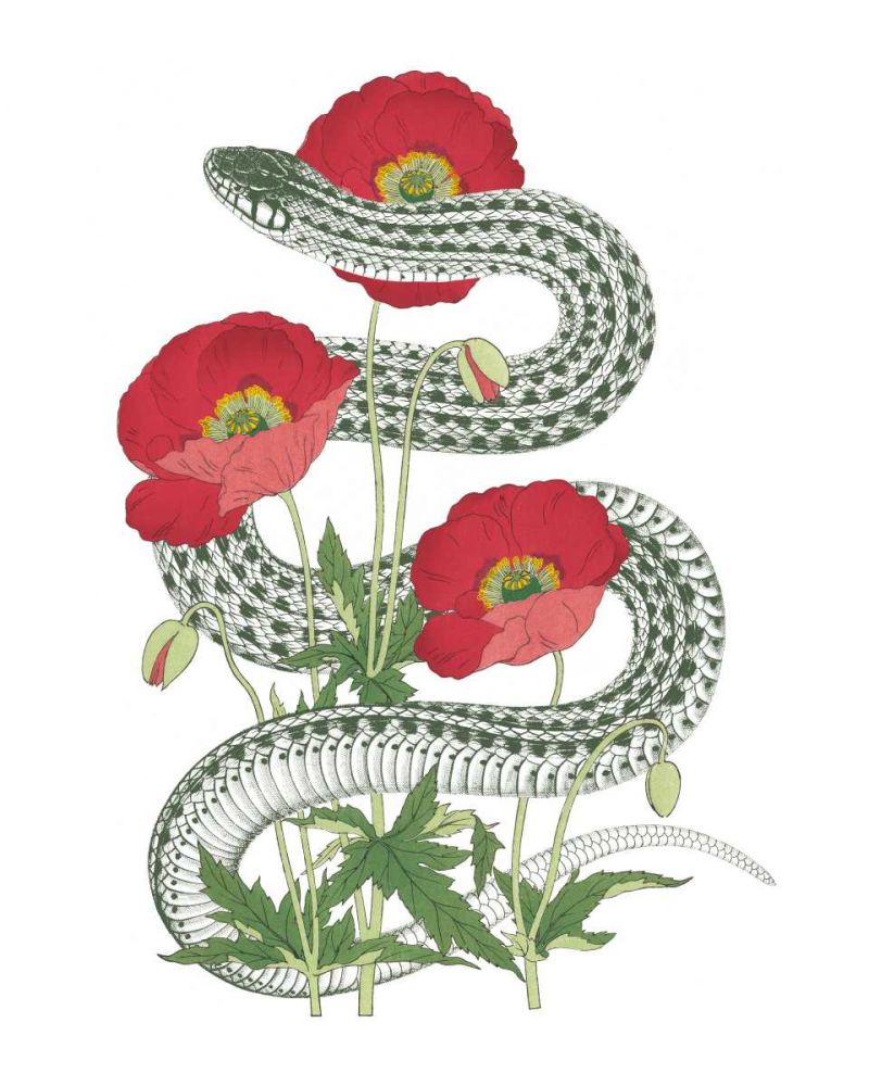 Natural Beauty II art print by Wild Apple Portfolio for $57.95 CAD