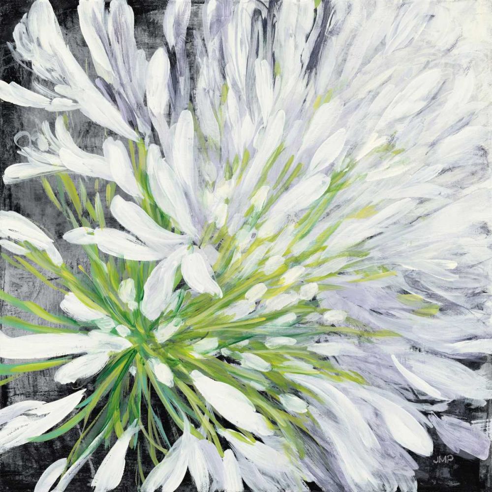 Cleome Splash II Black art print by Julia Purinton for $57.95 CAD