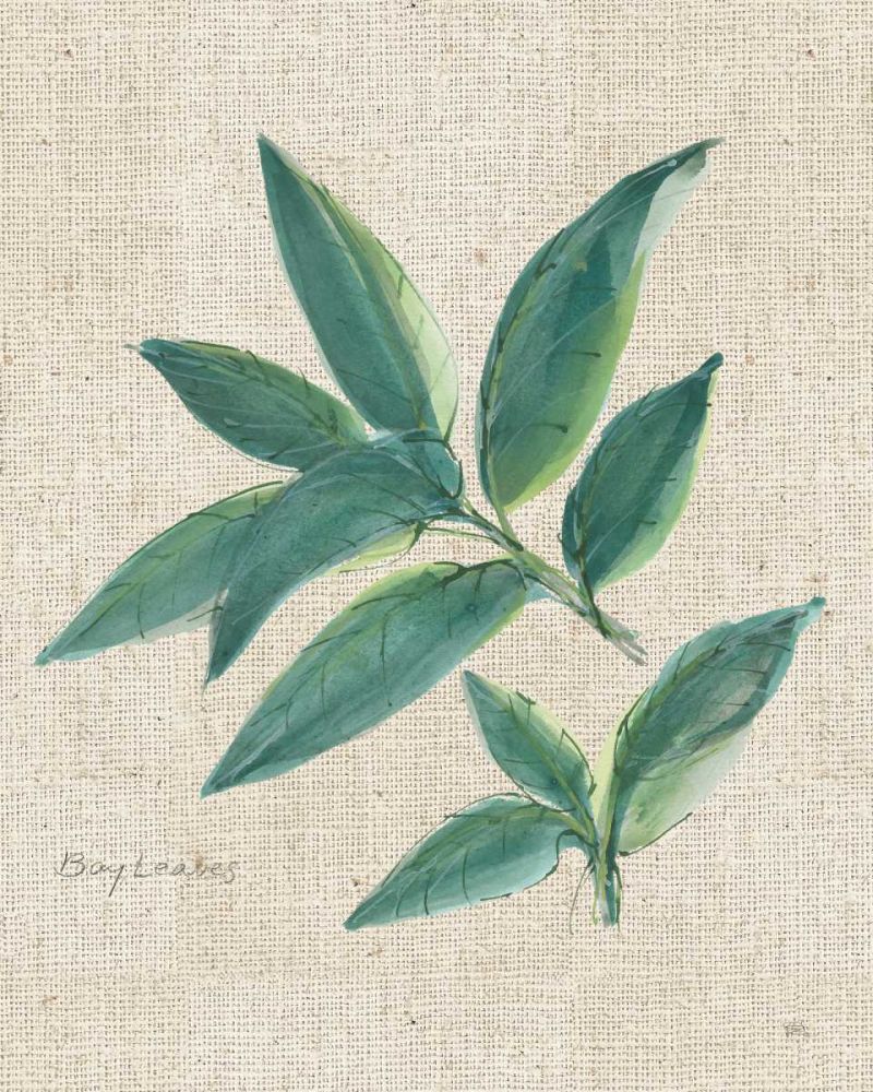 Bay Leaf on Burlap art print by Chris Paschke for $57.95 CAD