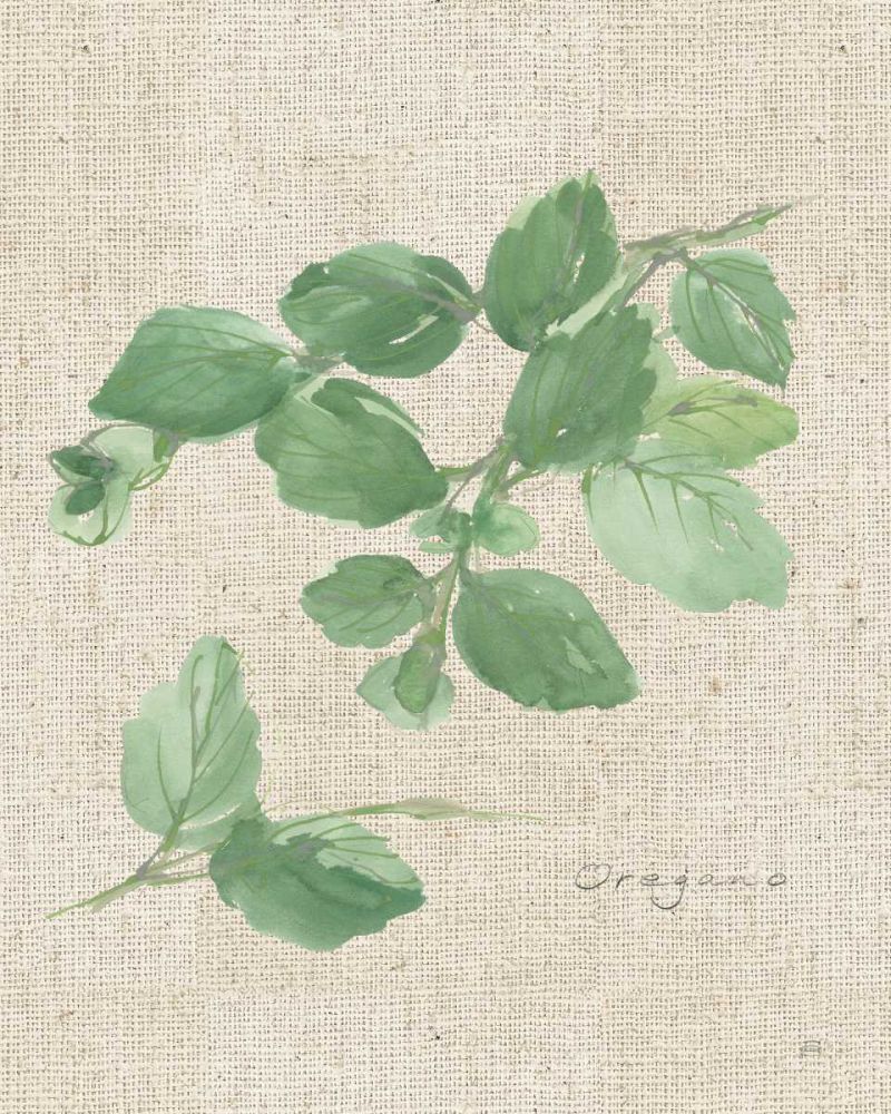 Oregano on Burlap art print by Chris Paschke for $57.95 CAD