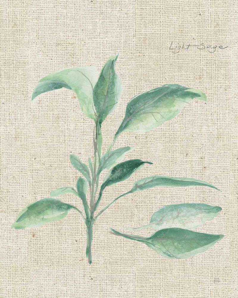 Sage II on Burlap art print by Chris Paschke for $57.95 CAD