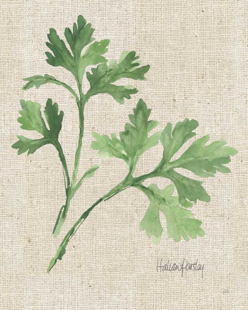 Italian Parsley v2 on Burlap art print by Chris Paschke for $57.95 CAD
