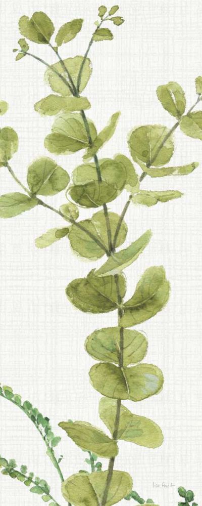 Mixed Greens LX v2 art print by Lisa Audit for $57.95 CAD