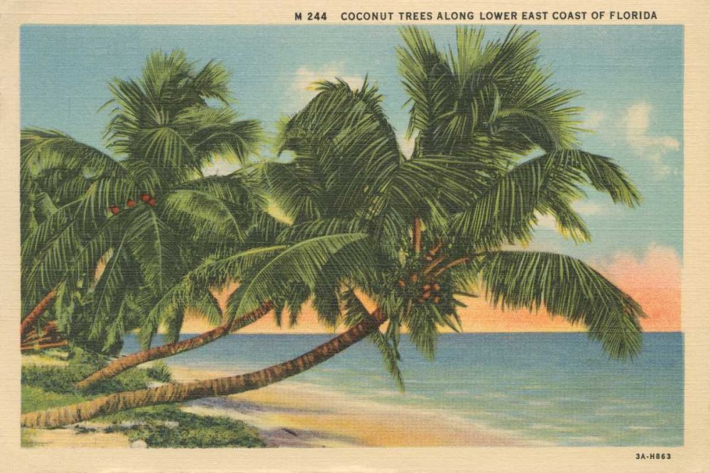 Florida Postcard III art print by Wild Apple Portfolio for $57.95 CAD