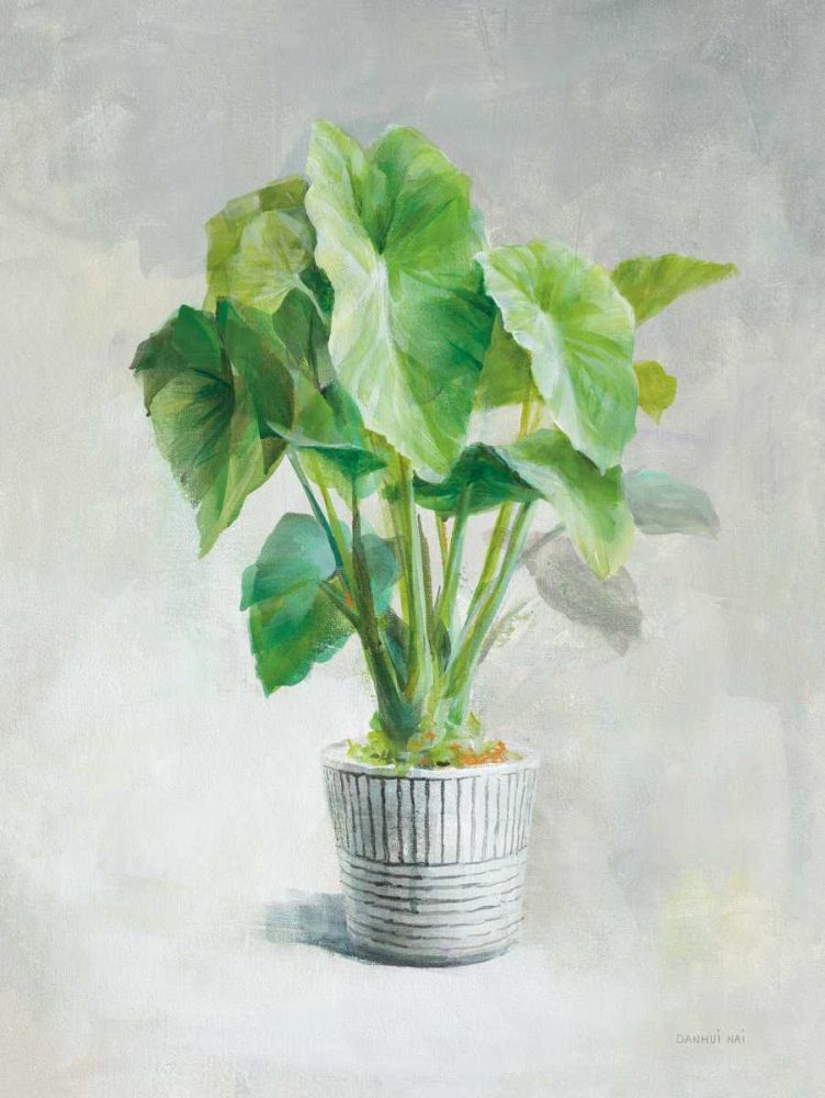 Greenhouse Palm I art print by Danhui Nai for $57.95 CAD