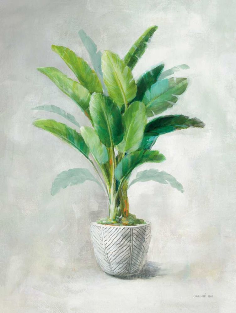 Greenhouse Palm II art print by Danhui Nai for $57.95 CAD