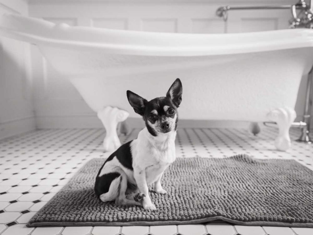 Bath Time art print by Aledanda for $57.95 CAD