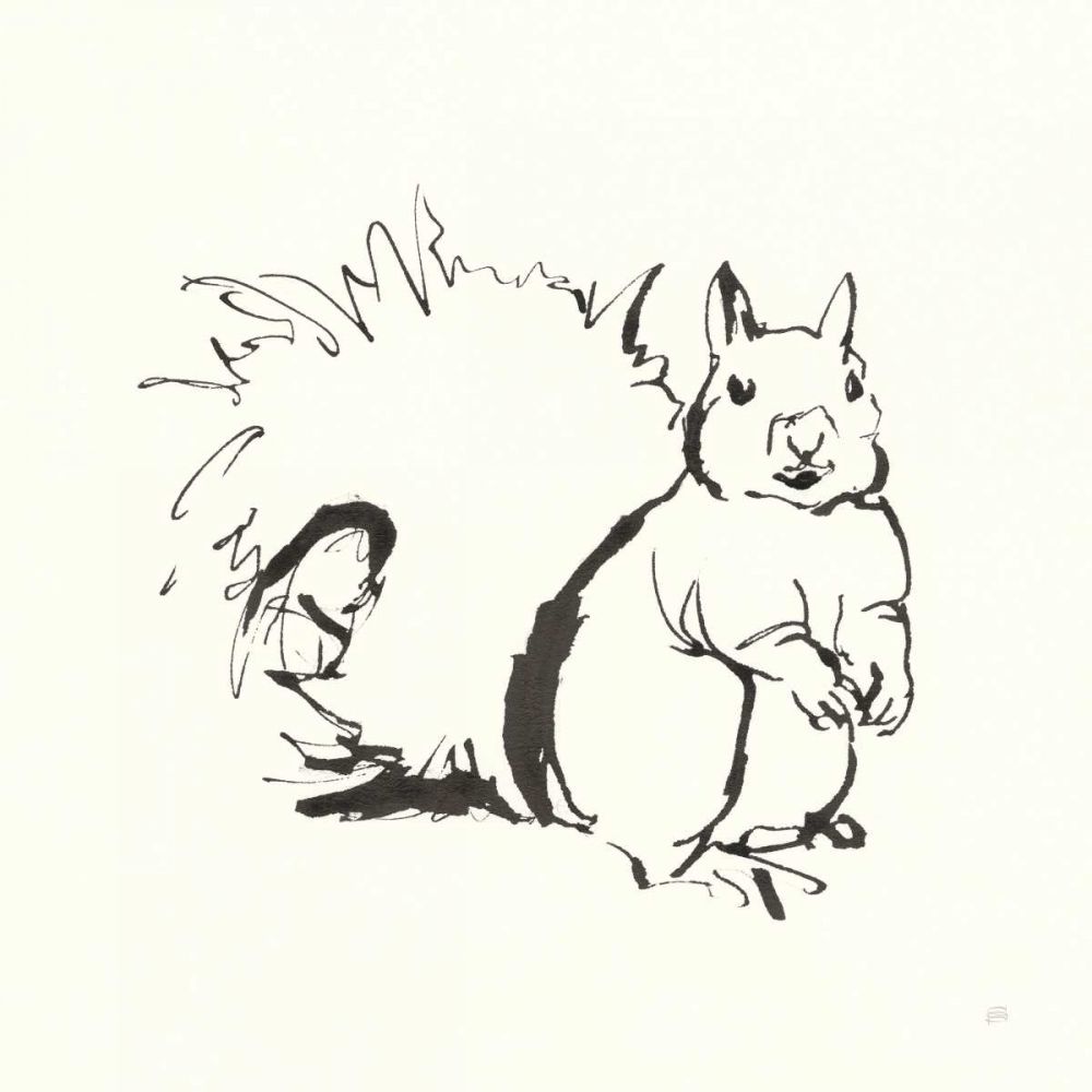 Line Squirrel art print by Chris Paschke for $57.95 CAD