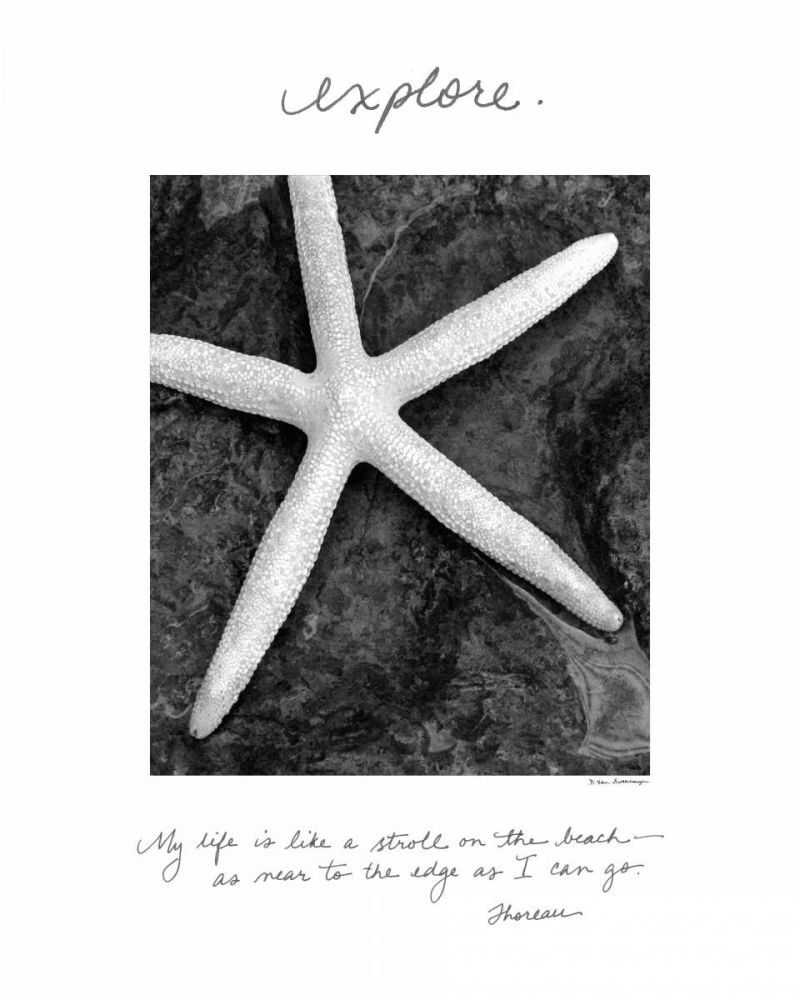 Explore art print by Debra Van Swearingen for $57.95 CAD