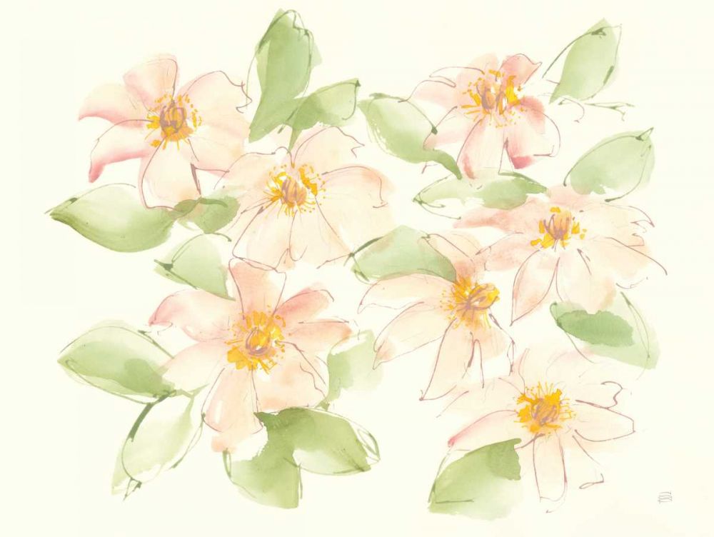 Creme Clematis art print by Chris Paschke for $57.95 CAD