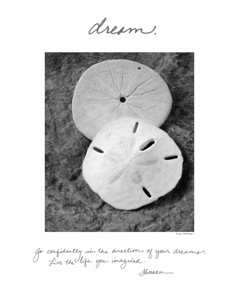 Dream art print by Debra Van Swearingen for $57.95 CAD