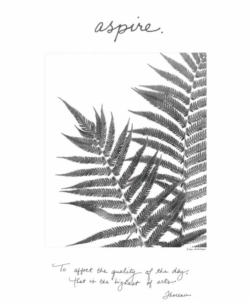 Aspire art print by Debra Van Swearingen for $57.95 CAD