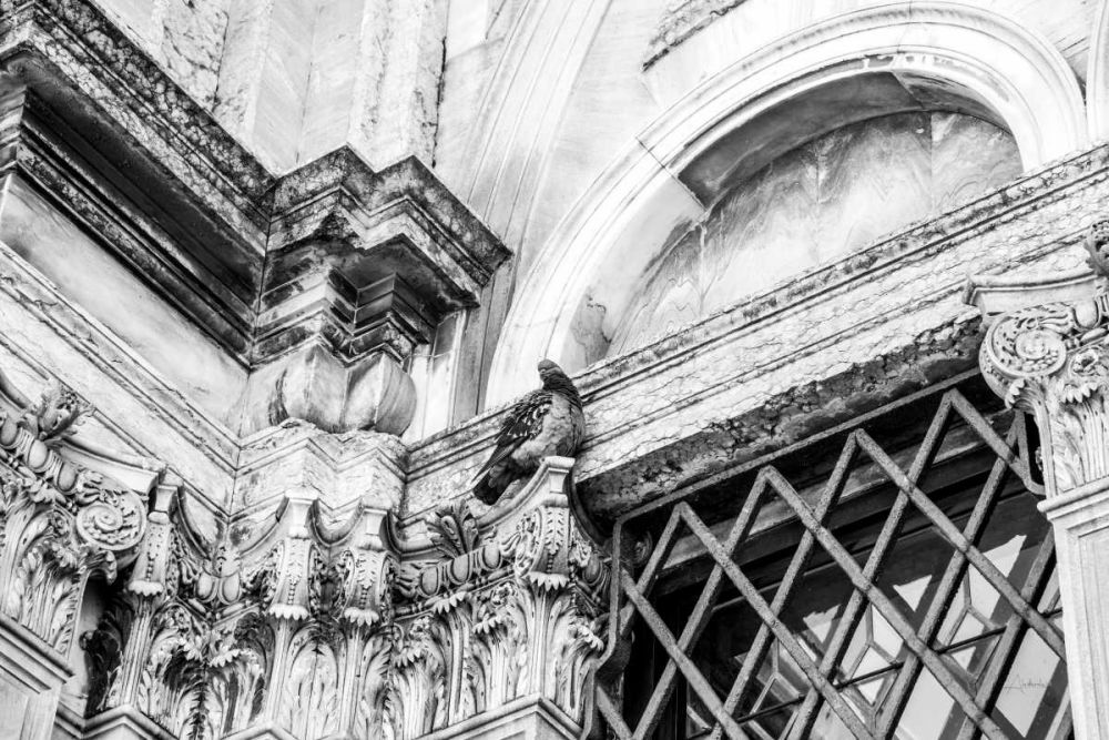 Looking Up art print by Aledanda for $57.95 CAD