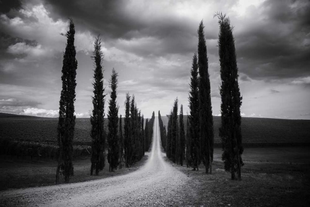 Travelling in Tuscany art print by Aledanda for $57.95 CAD