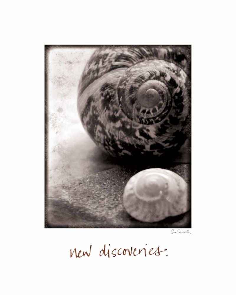 New Discoveries art print by Sue Schlabach for $57.95 CAD