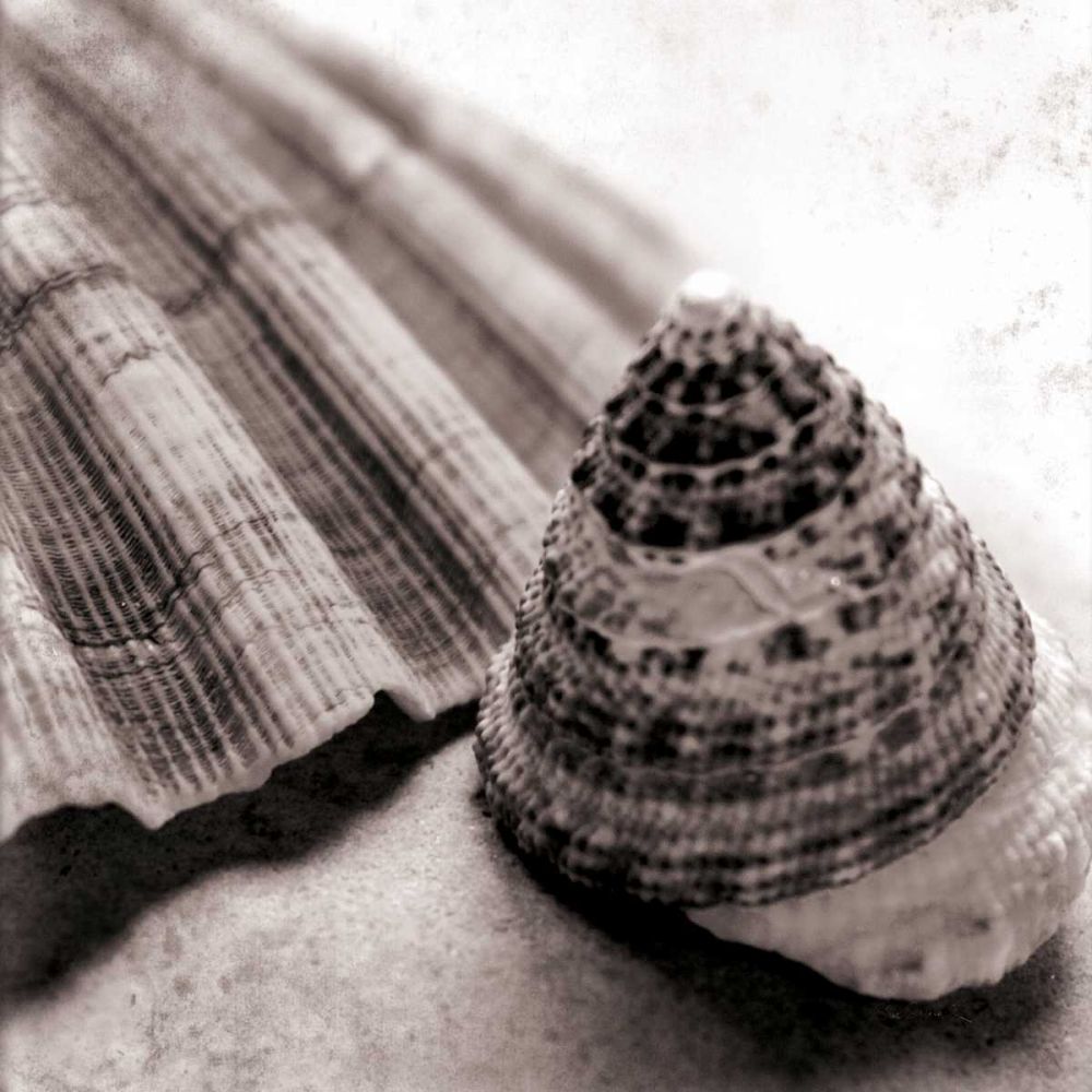 Gifts from the Sea Square art print by Sue Schlabach for $57.95 CAD