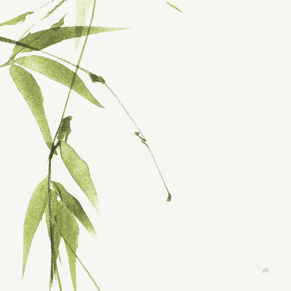 Bamboo V Green art print by Chris Paschke for $57.95 CAD